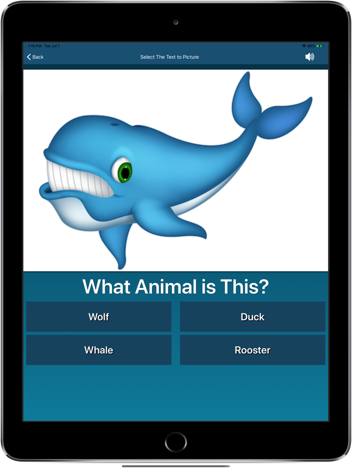 Nursery Letters  Words 4 Kids