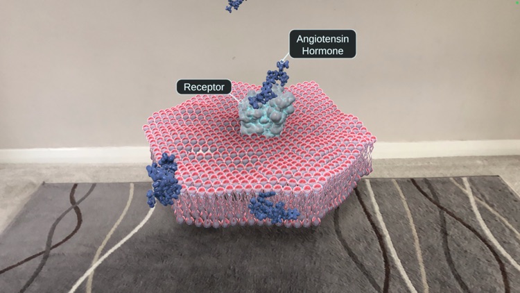 Random42 AR Stories screenshot-3