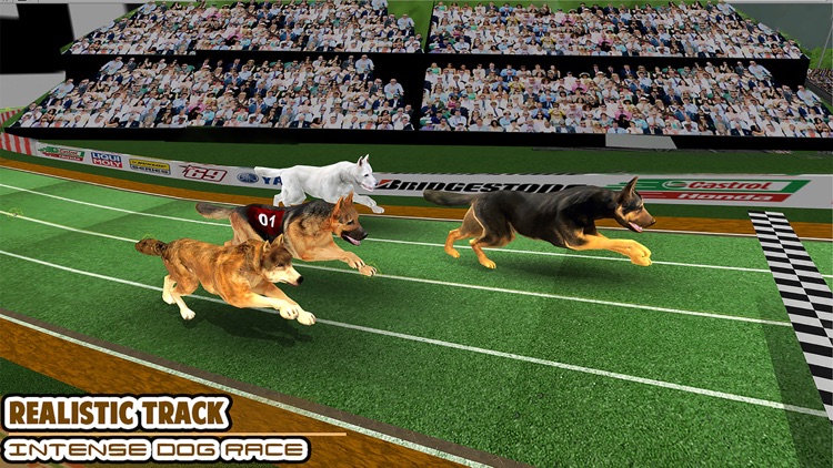 Dog Race Greyhound 3D screenshot-3