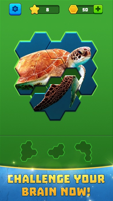 Hex Block Jigsaw screenshot 3