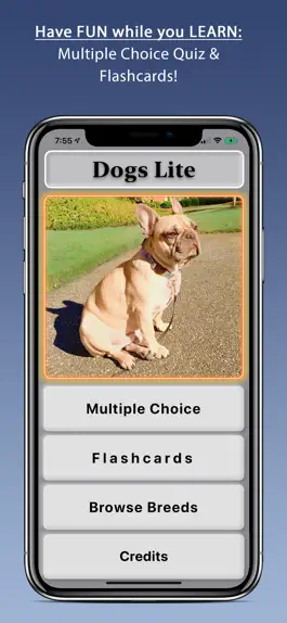 Game screenshot Dogs: Lite mod apk