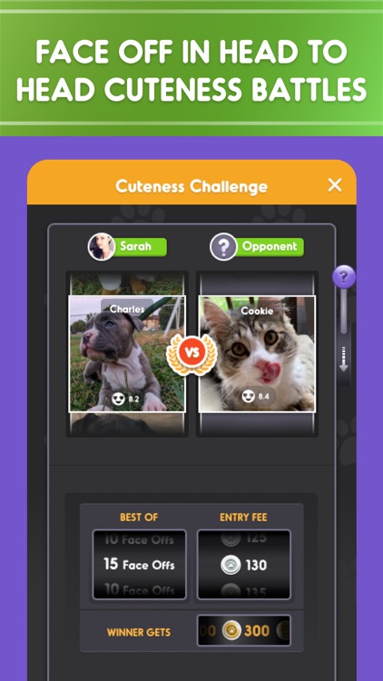 Pet Parade: Dogs & Cats Games