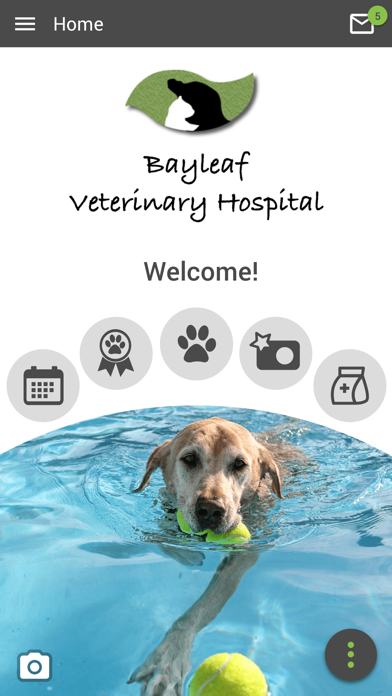 How to cancel & delete Bayleaf Vet from iphone & ipad 1