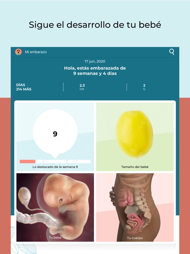 Babycenter Embarazo Y Bebe En App Store