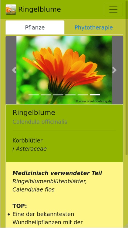 PhytoApp Heilpflanzenwissen