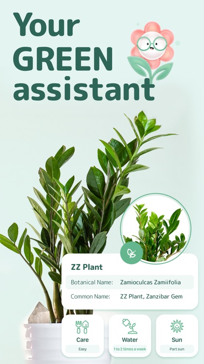 Blossom - Plant Identification