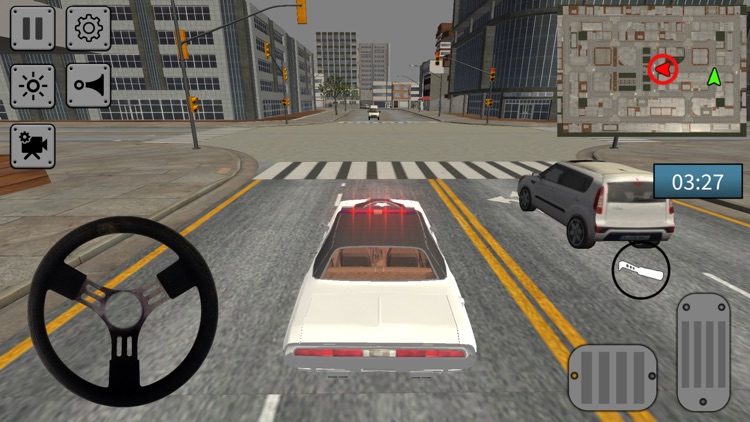 Police Car Thief Chase City in