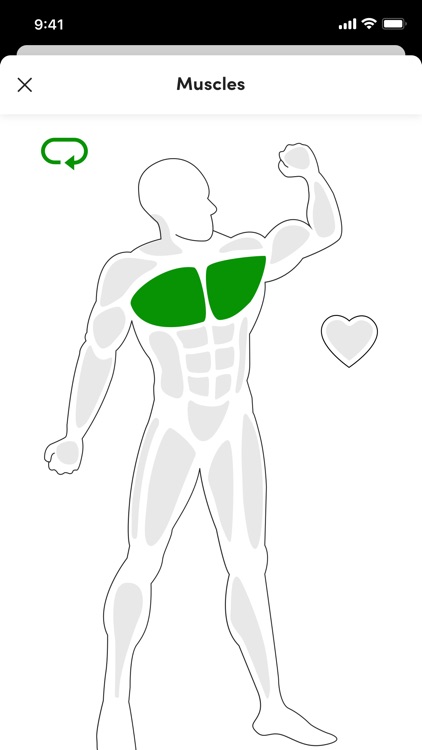 Body Ready screenshot-3