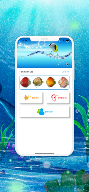 Fish Form Sea(圖2)-速報App