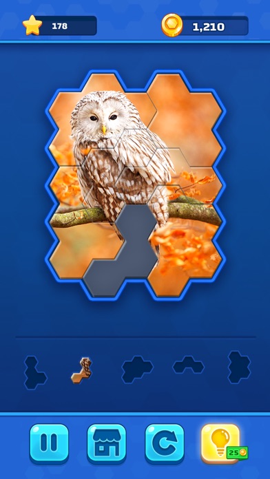 Hexa Jigsaw Challenge screenshot 2