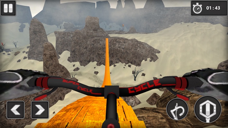 Mountain Bike Drive Simulator