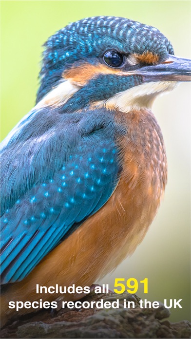 How to cancel & delete All Birds UK - A Complete Field Guide to the Official List of Bird Species Recorded in Great Britain and Northern Ireland from iphone & ipad 2