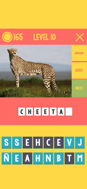 Picture Quiz- Learning English(圖6)-速報App