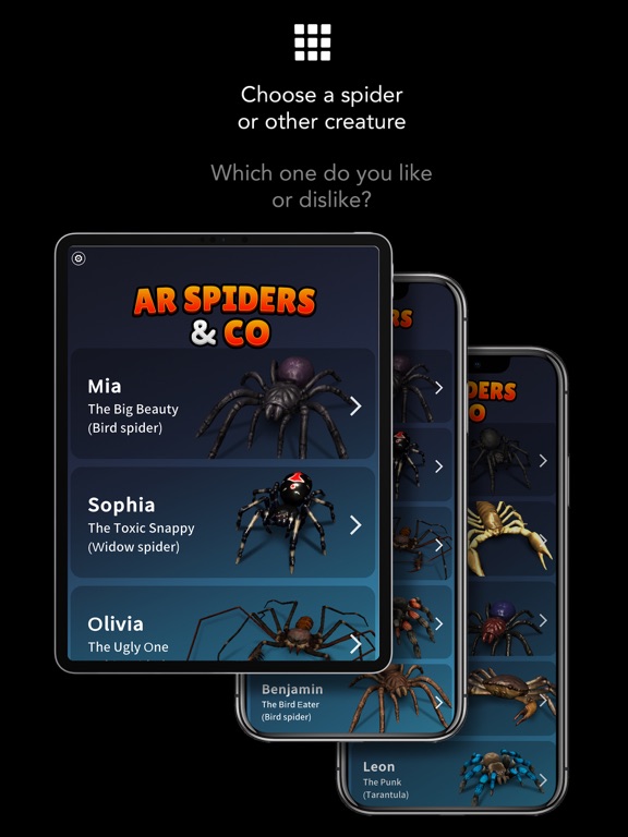 AR Spiders & Co Screenshots