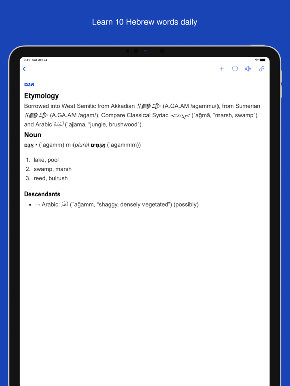 Dictionary of Hebrew screenshot 4