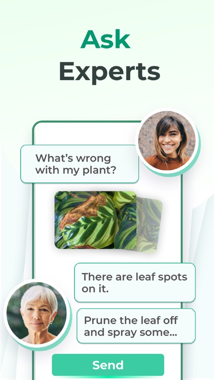 PictureThis - Plant Identifier screenshot-3