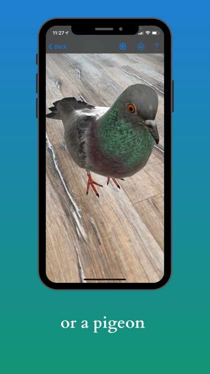 Animal Recognition AR screenshot-3