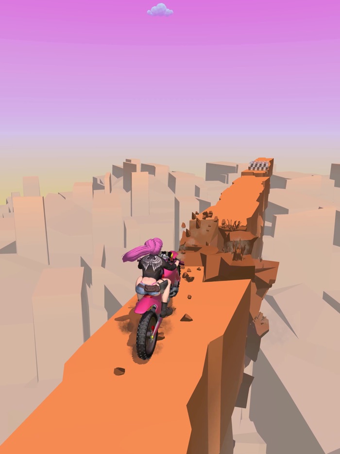 Dirt Bike - Motocycle