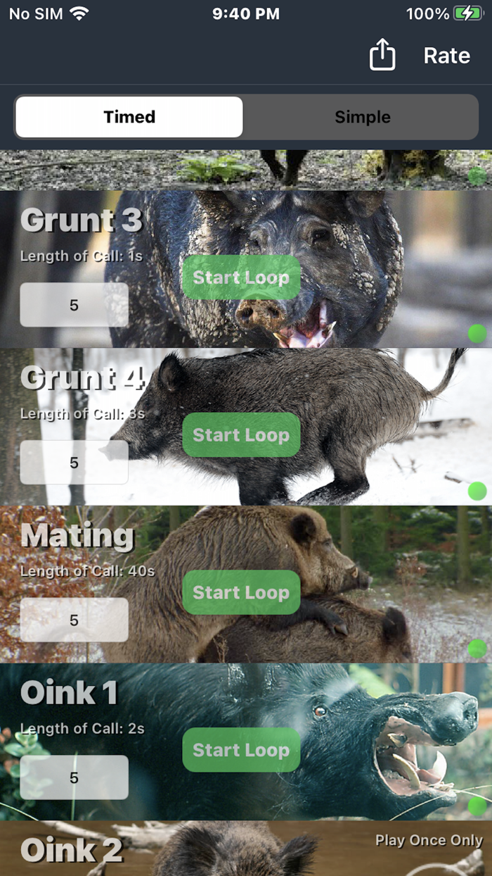 Wild Hog Hunting Calls