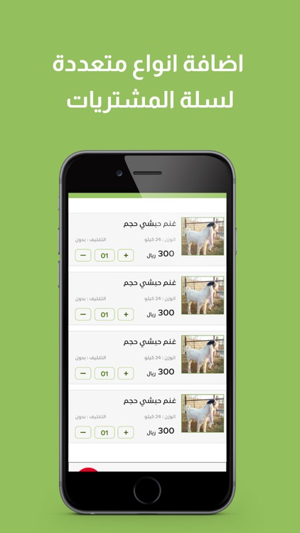 نوادر القصيم