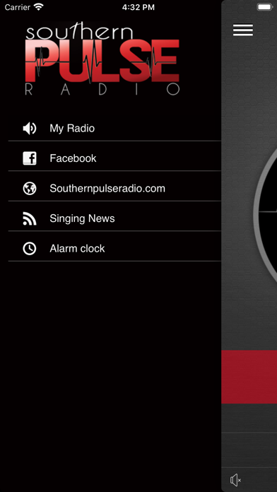 Screenshot #2 pour Southern Pulse Radio
