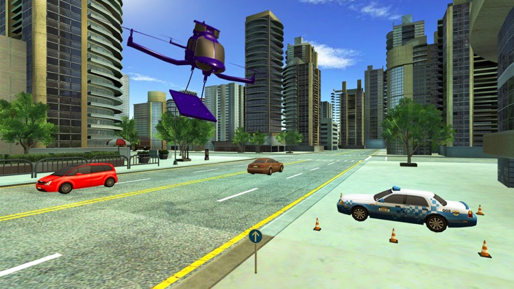 Flying Drone Car Delivery Sim screenshot-3