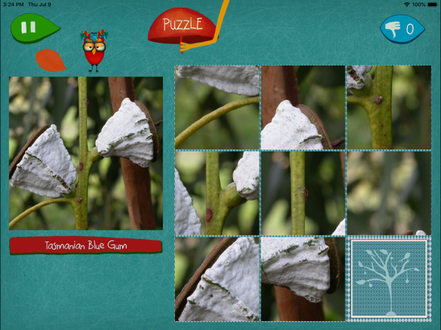 Linneo Tree(圖2)-速報App