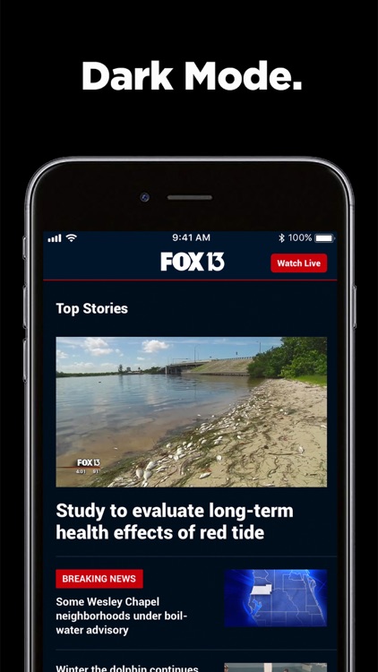 FOX 13 Tampa: News & Alerts screenshot-5