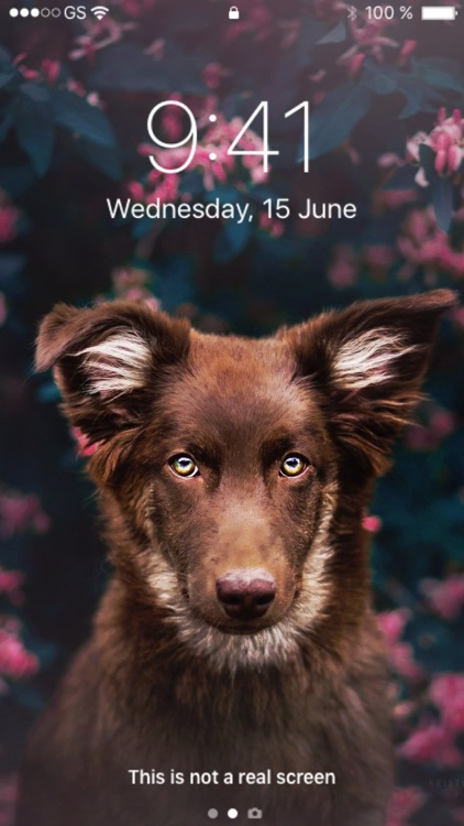 Cool Live Wallpapers & Themes screenshot-9