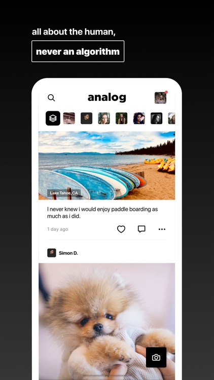 Analog by HappyFunCorp