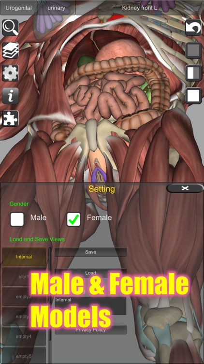 3D Anatomy Learning screenshot-6