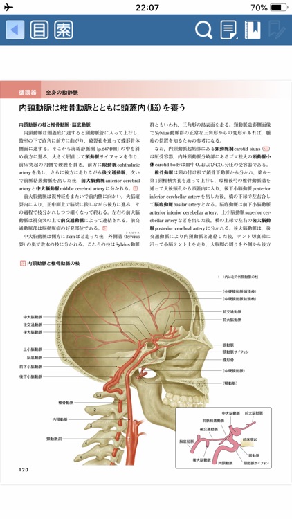 人体の正常構造と機能