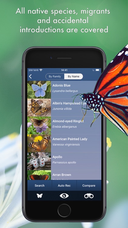 Butterfly Id - UK Field Guide screenshot-3