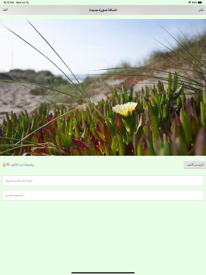 تعارف السعودية