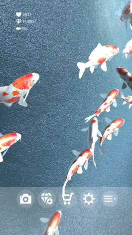 Game screenshot Koi - Aquarium apk