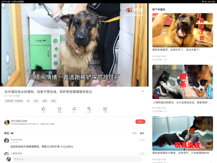 星球视频 – 原创高清弹幕视频社区