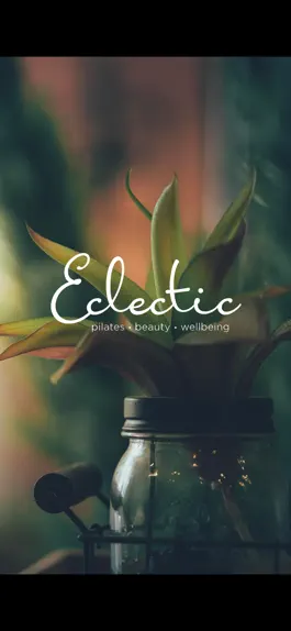 Game screenshot Eclectic NI mod apk