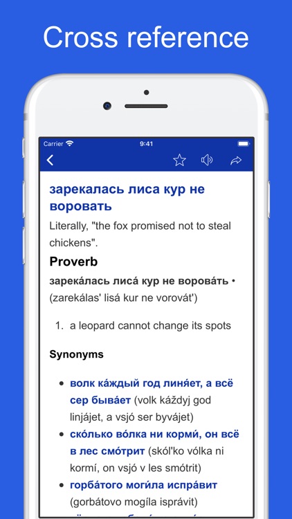 Russian Idioms and Proverbs screenshot-6
