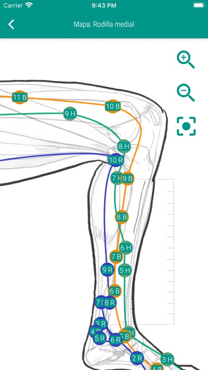 Apuntes de Acupuntura screenshot-3