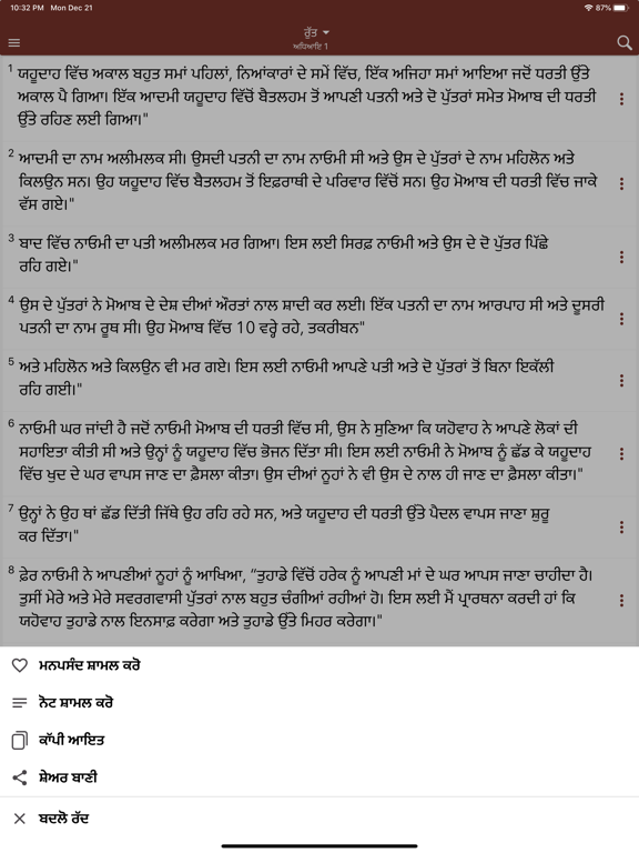Holy Bible In Punjabi screenshot 4