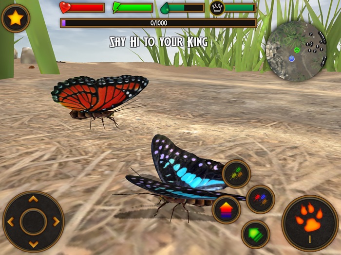 Butterfly Simulator