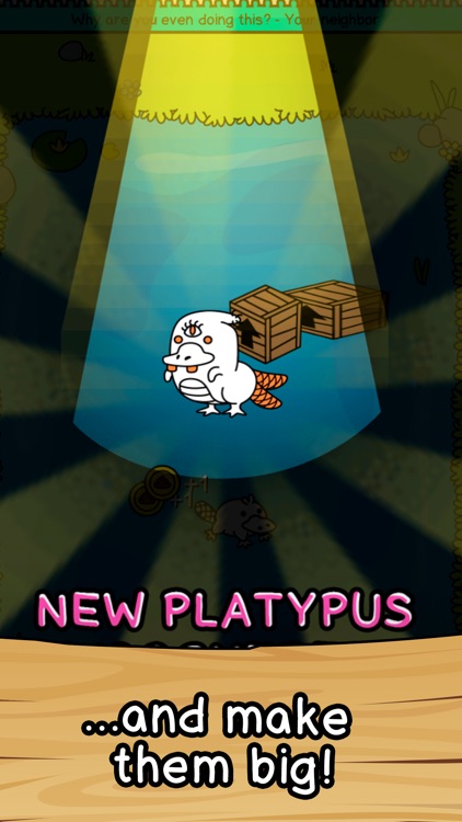 Platypus Evolution: Match Game