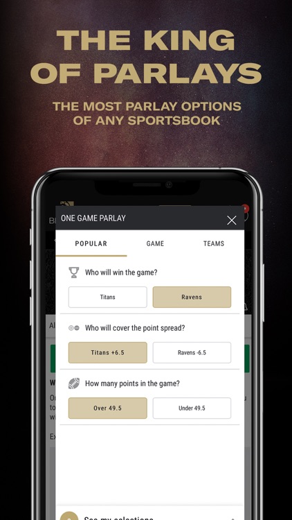 BetMGM Sportsbook screenshot-4