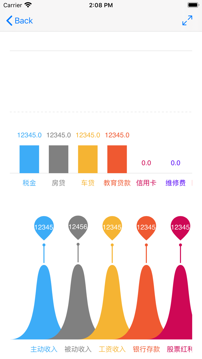 青蛙现金流量表记账工具个人资产管理器Cash flow