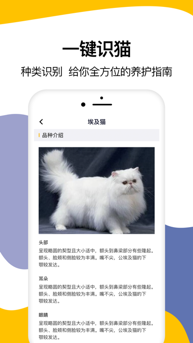 猫语翻译