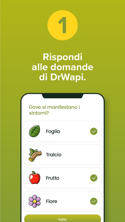 DrWapi: Agronomo digitale