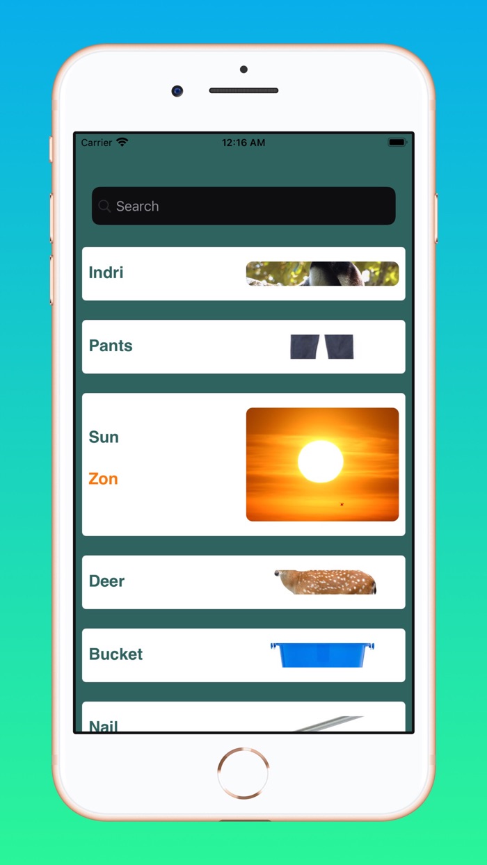 English Dutch Basic Words