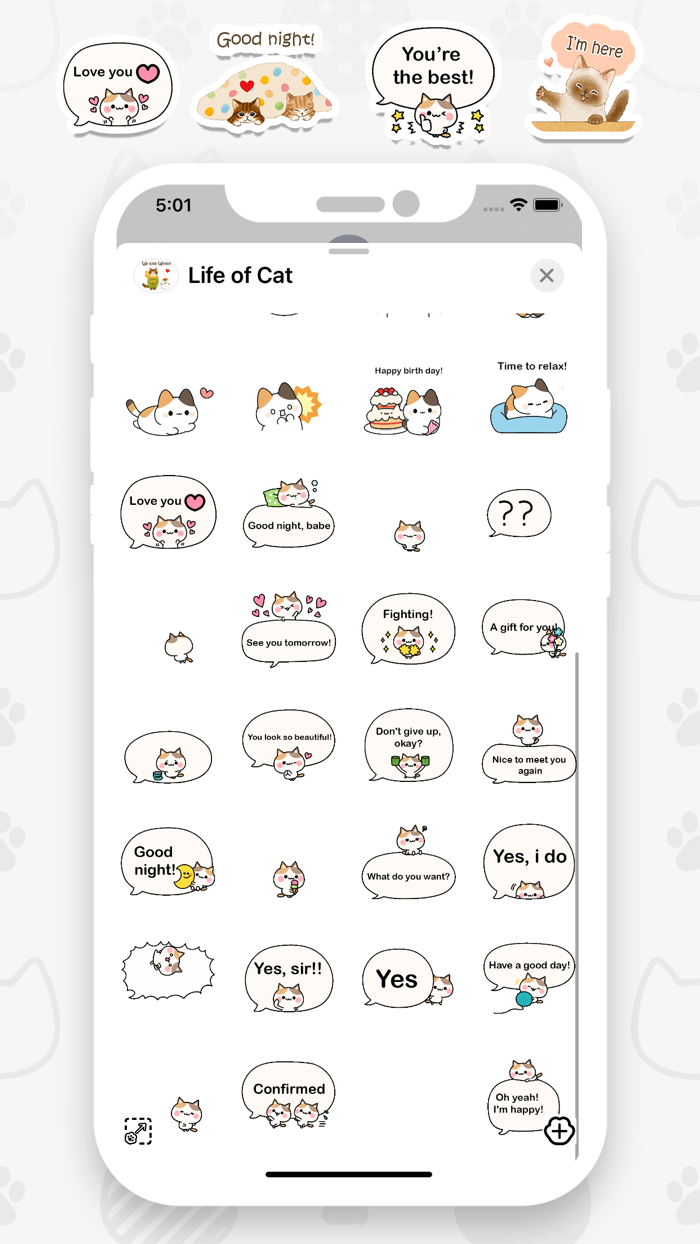 Life of Cat Animated