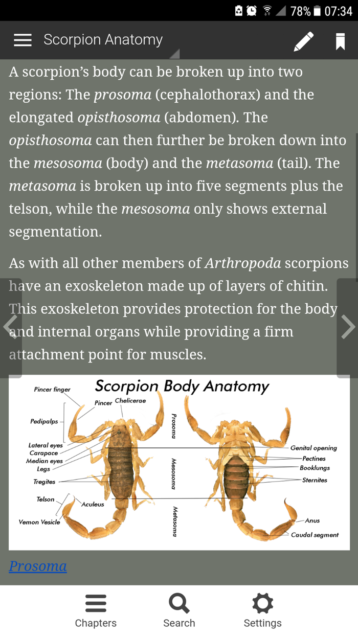 Scorpions of Zimbawe