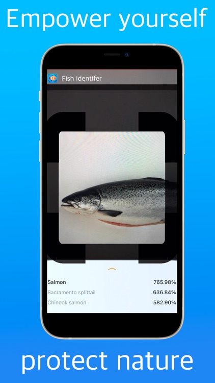Fish Identifier AI